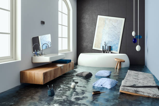 Best Flooded house restoration  in Tecumseh, NE