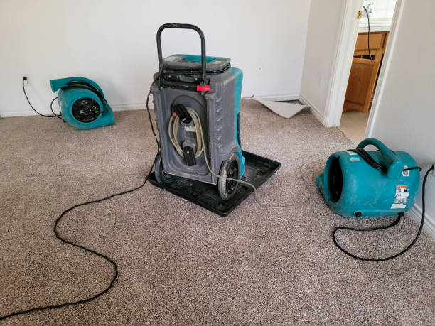 Best Sewage cleanup and water damage restoration  in Tecumseh, NE