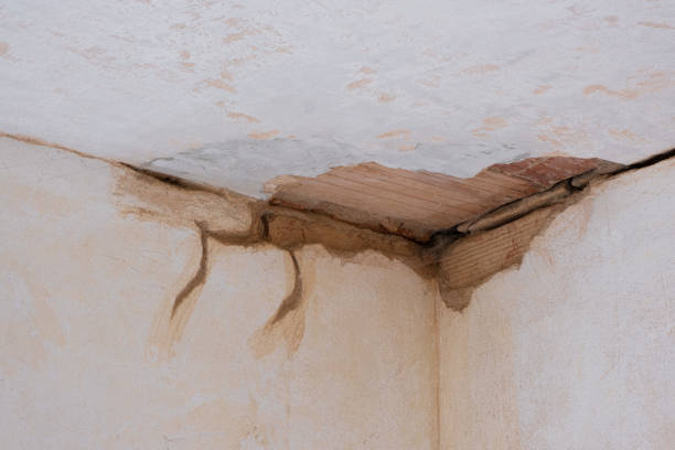 Best Flooded house restoration  in Tecumseh, NE