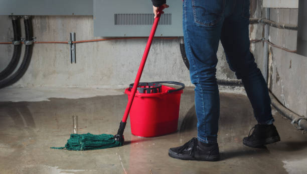 Best Water damage contractors near me  in Tecumseh, NE