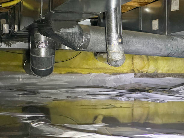 Best Basement water damage restoration  in Tecumseh, NE