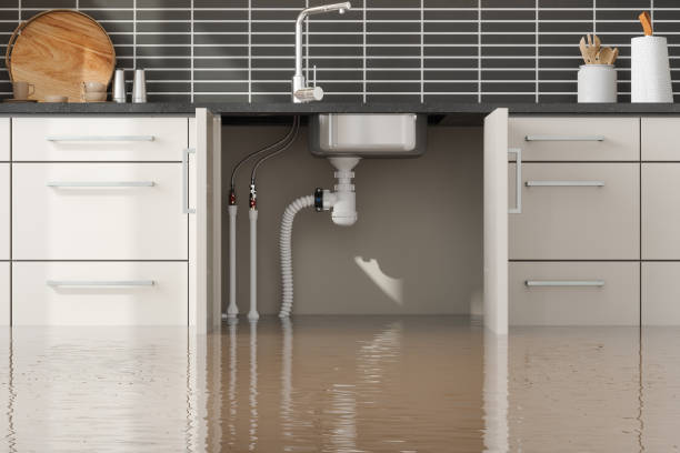 Best Carpet water damage restoration  in Tecumseh, NE