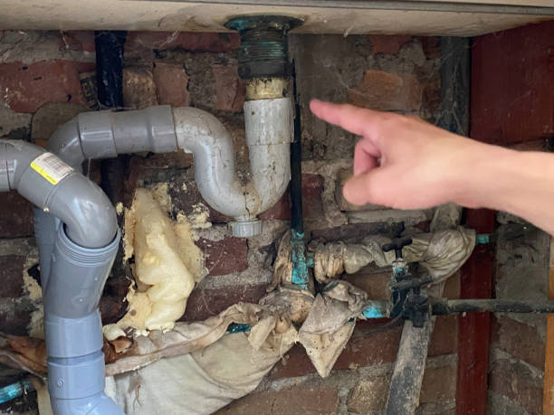 Best Water damage restoration cost  in Tecumseh, NE