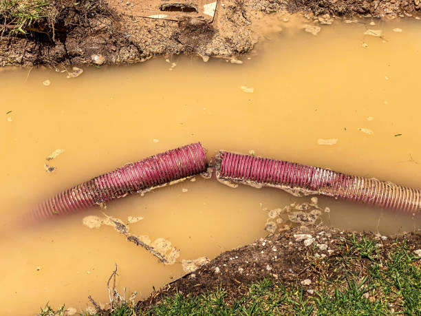 Best Residential water damage restoration  in Tecumseh, NE