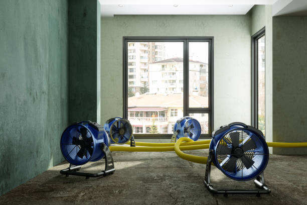 Best 24/7 water damage repair  in Tecumseh, NE