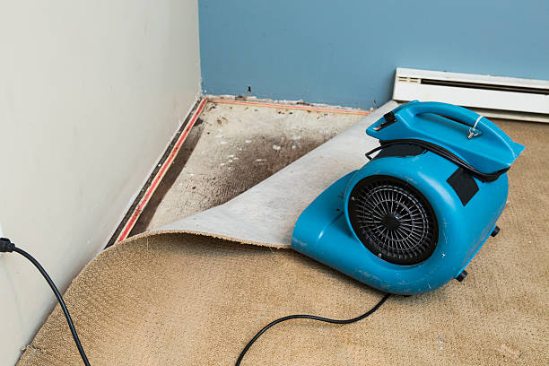 Best Commercial water damage restoration  in Tecumseh, NE