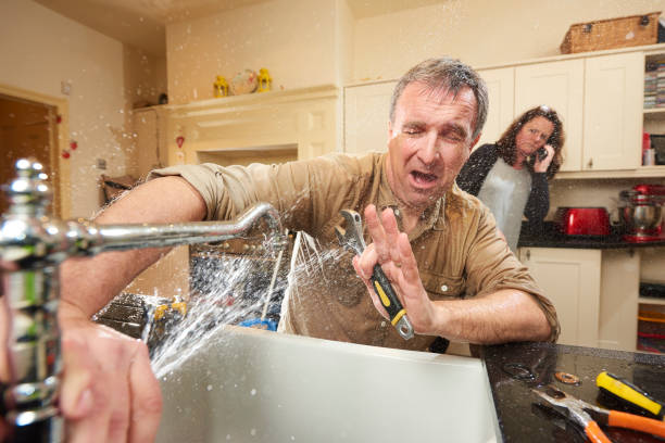 Best Water damage cleanup near me  in Tecumseh, NE